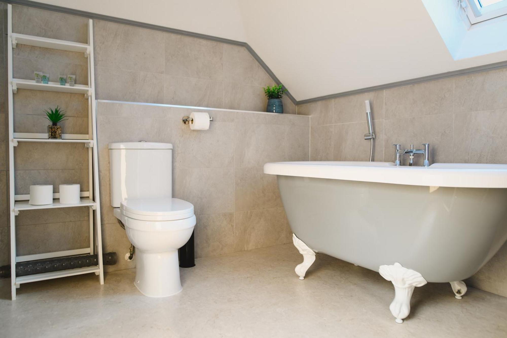 Haven Lodge Newquay New Quay Εξωτερικό φωτογραφία